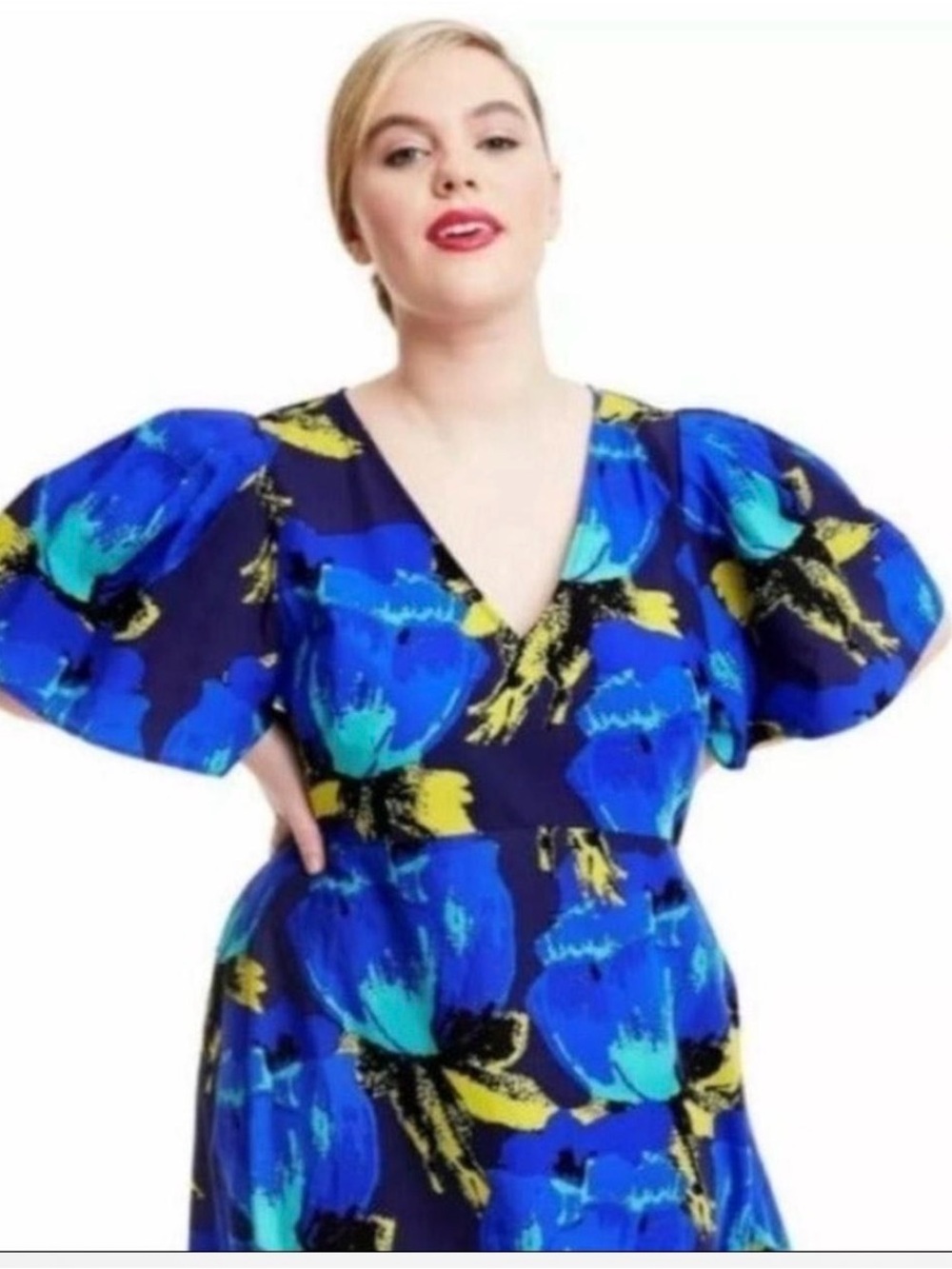 NWT Floral V-Neck Dress in Blue Floral Abstract